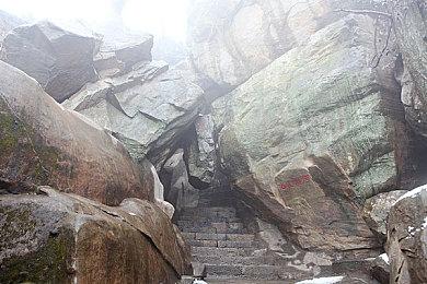 EA CEO回应被收购传闻：如果有意义会支持