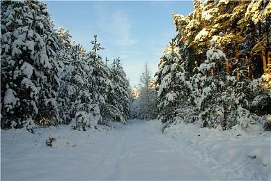 手游《王国之心ML》发布新预告 2024年上线